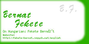 bernat fekete business card